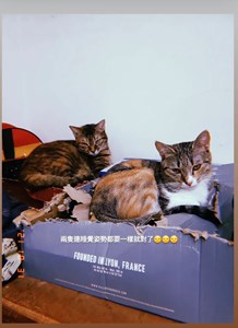 S__68124678.jpg