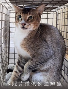 11509240007收-95