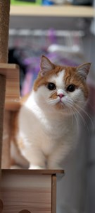 IMG_9755.jpeg