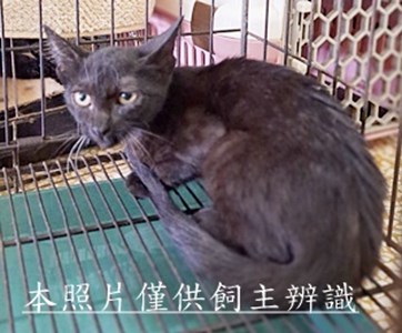 11509260002收76
