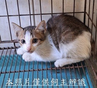 11509270005收35