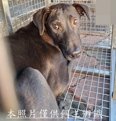 11509270002收S
