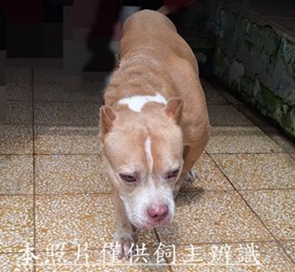 11510070005收1