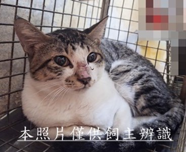 11510080002收-5
