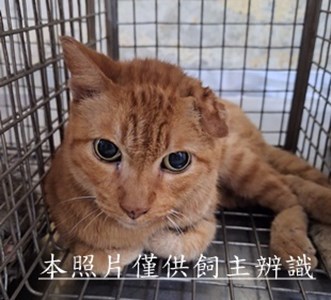 11510100002收66