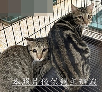 11510110001-2收83