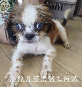 11510080016收棄