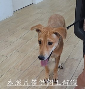 11510120009收棄