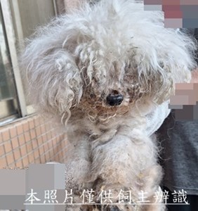 11510120010收42