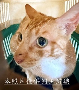 11510160007收-46