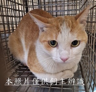 11510160009收20