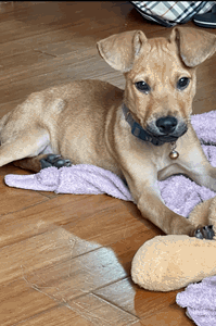IMG_7911.gif