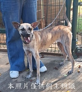 11510190013收棄