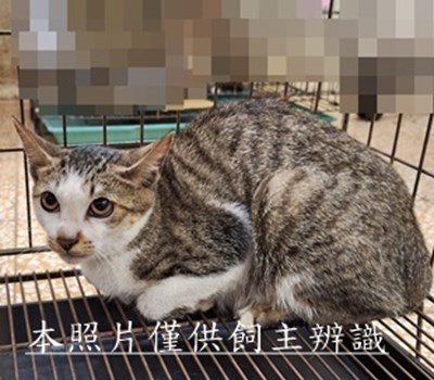 11510220009收20