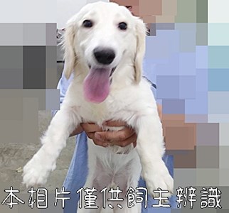 11510276001_動保