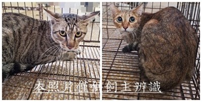 11510270001-2收
