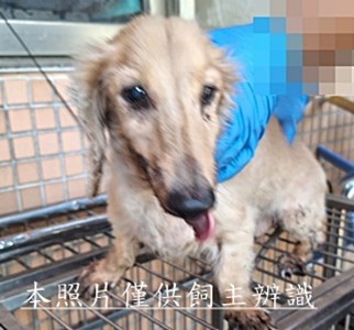 11510270008收21