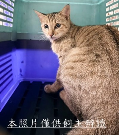 11510270009收25