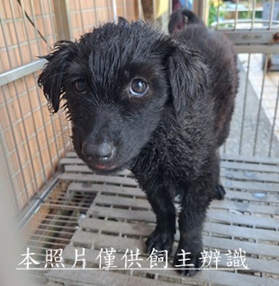 11510280019收