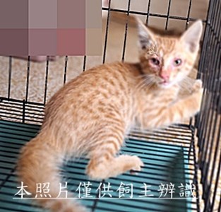 11510290002收62