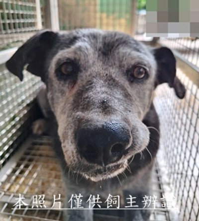 11510290008收圓5