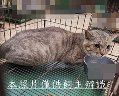 11510290010收75