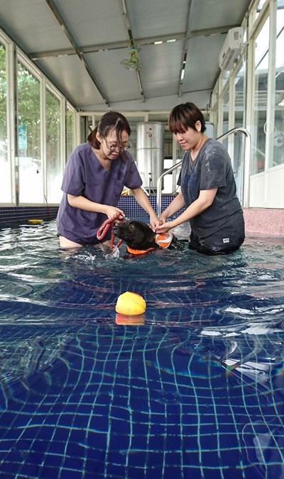 】「泳」抱夏天