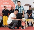 響應10月4日世界動物日，林佳龍市長親臨挺挺動物生活節會場，頒發獎牌感謝工作犬的付出!