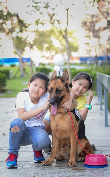 孩童與狼犬嬉戲合影