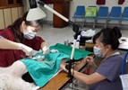動保處醫師們施行犬貓絕育手術