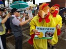 2017挺挺動物嘉年華~動物保護宣導