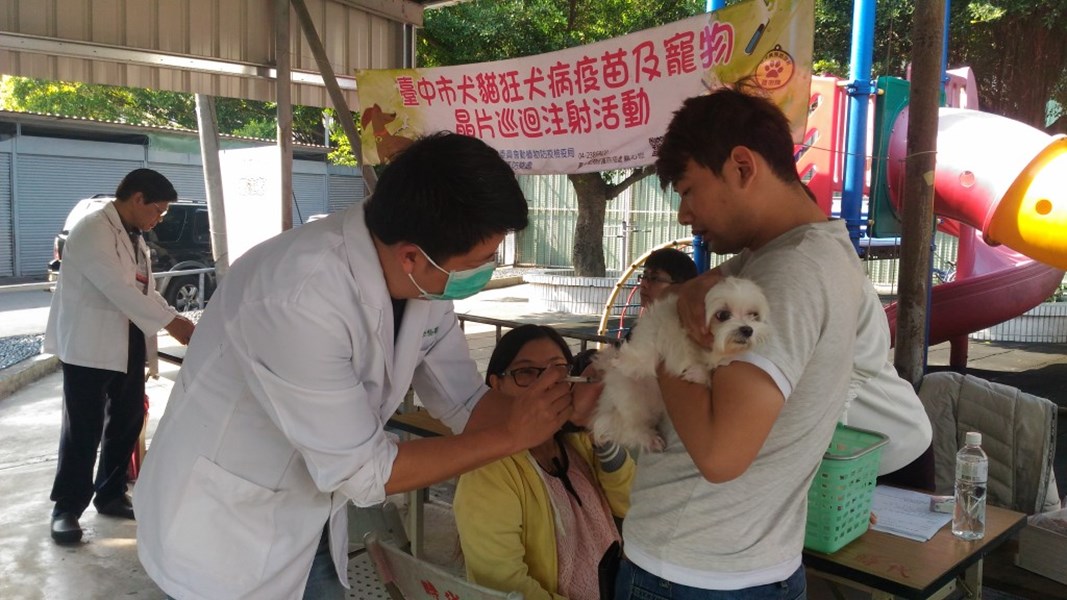 臺中市動物狂犬病疫苗及寵物晶片巡迴注射優惠活動~醫師施打狂犬病疫苗