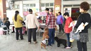 臺中市動物狂犬病疫苗及寵物晶片巡迴注射優惠活動~大里新仁里