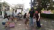 臺中市動物狂犬病疫苗及寵物晶片巡迴注射優惠活動~烏日區溪尾里活動中心