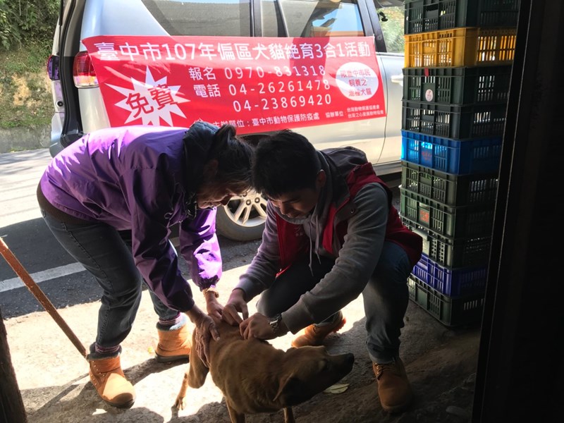 和平區沿街宣導並幫家戶犬貓施打狂犬病疫苗