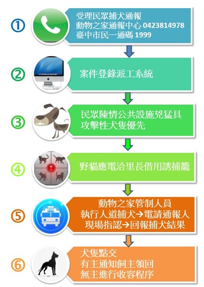 臺中市捕犬通報處理流程圖