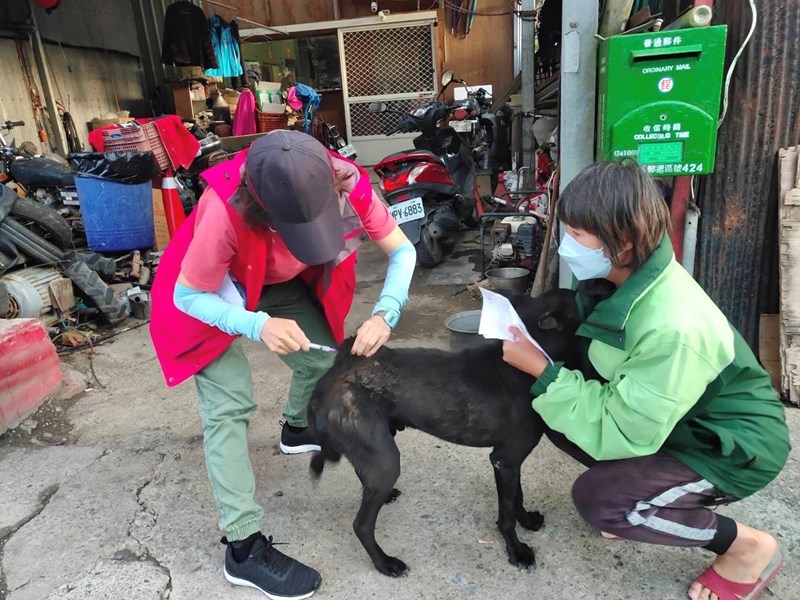 沿街施打狂犬病疫苗