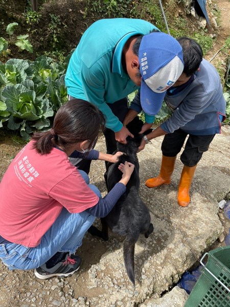 沿街施打狂犬病疫苗