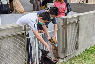 至園區內參觀、挑選犬貓互動